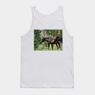 Moose on a Stroll in the Spring Tank Top